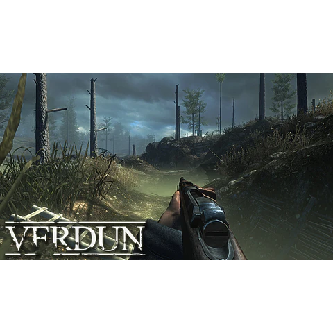 VERDUN STEAM GIFT GLOBAL
