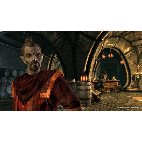 THE ELDER SCROLLS V: SKYRIM - DRAGONBORN (PC) - STEAM KEY - GLOBAL