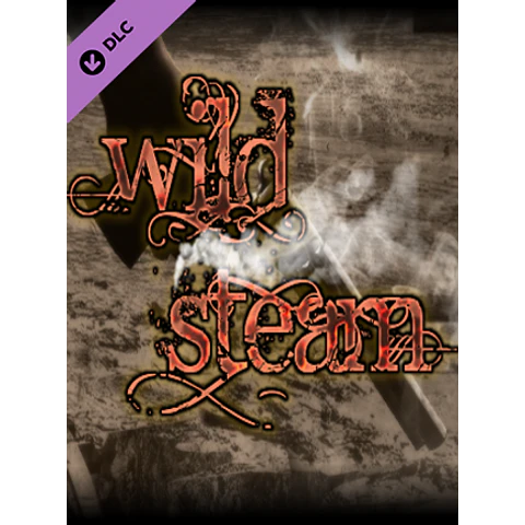 RPG MAKER VX ACE - WILD STEAM RESOURCE PACK STEAM KEY GLOBAL
