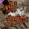 RPG MAKER VX ACE - WILD STEAM RESOURCE PACK STEAM KEY GLOBAL