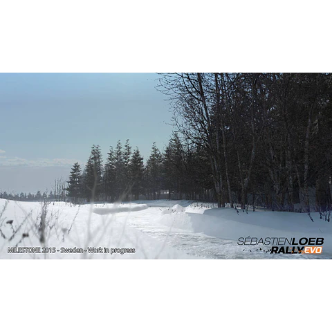 SEBASTIEN LOEB RALLY EVO - SPECIAL EDITION STEAM KEY GLOBAL