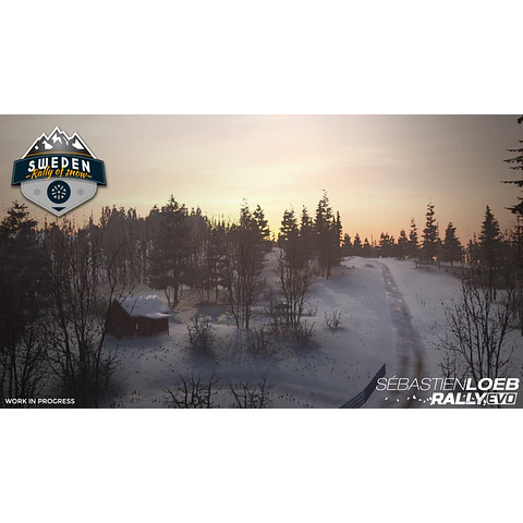 SEBASTIEN LOEB RALLY EVO - SPECIAL EDITION STEAM KEY GLOBAL