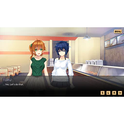 SWORD OF ASUMI STEAM KEY GLOBAL