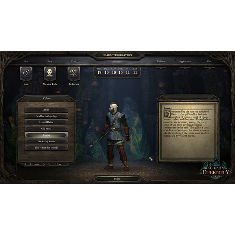 PILLARS OF ETERNITY - ROYAL EDITION STEAM KEY GLOBAL