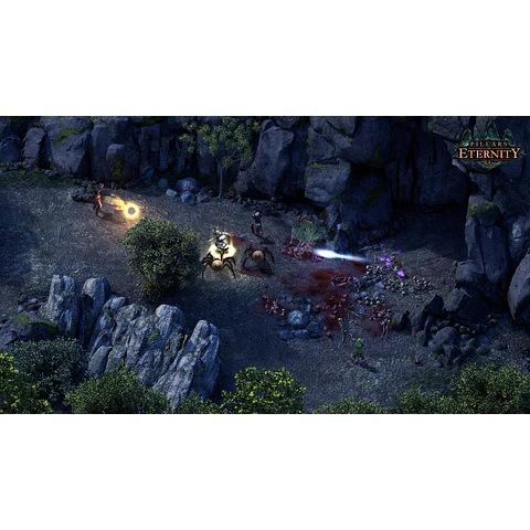 PILLARS OF ETERNITY - ROYAL EDITION STEAM KEY GLOBAL