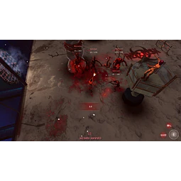 RED RISK STEAM KEY GLOBAL