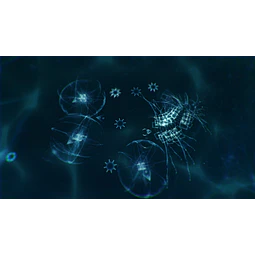 SPARKLE ZERO STEAM KEY GLOBAL