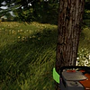 FORESTRY 2017 - THE SIMULATION STEAM KEY GLOBAL