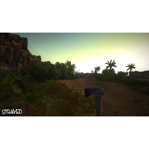 STRAYED STEAM KEY GLOBAL