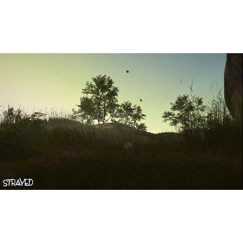 STRAYED STEAM KEY GLOBAL