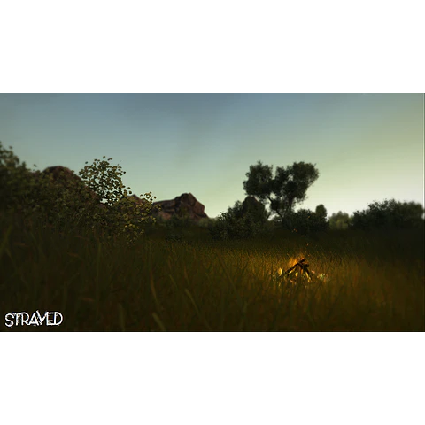 STRAYED STEAM KEY GLOBAL