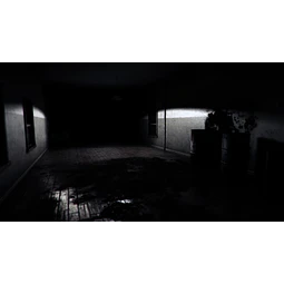 INSANE DECAY OF MIND STEAM KEY GLOBAL