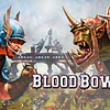 BLOOD BOWL 2 - WOOD ELVES STEAM KEY GLOBAL
