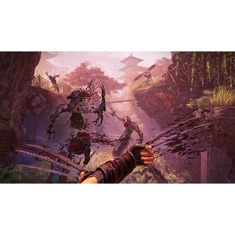 SHADOW WARRIOR 2 STEAM GIFT GLOBAL