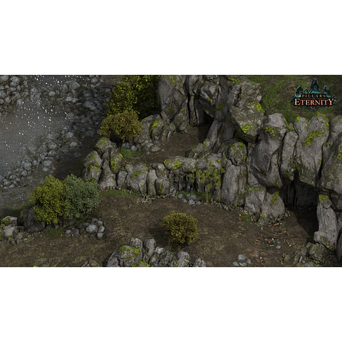 PILLARS OF ETERNITY - CHAMPION EDITION STEAM KEY GLOBAL