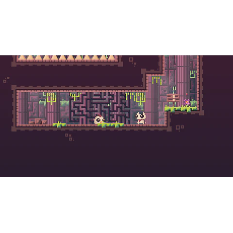 REED STEAM KEY GLOBAL