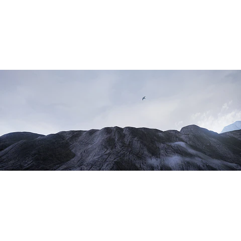 CONCLUSION STEAM KEY GLOBAL