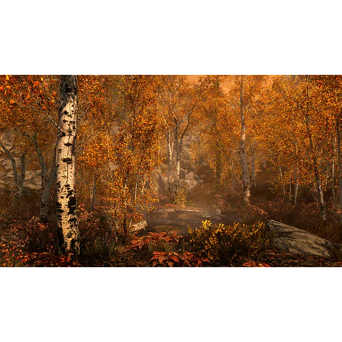 THE ELDER SCROLLS V: SKYRIM SPECIAL EDITION (PC) - STEAM KEY - GLOBAL