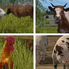 FARMING SIMULATOR 17 GIANTS KEY GLOBAL