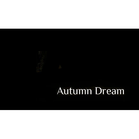 AUTUMN DREAM STEAM KEY GLOBAL