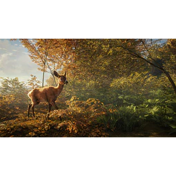 THEHUNTER: CALL OF THE WILD STEAM GIFT GLOBAL