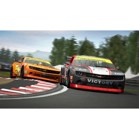 RACE ON STEAM KEY GLOBAL