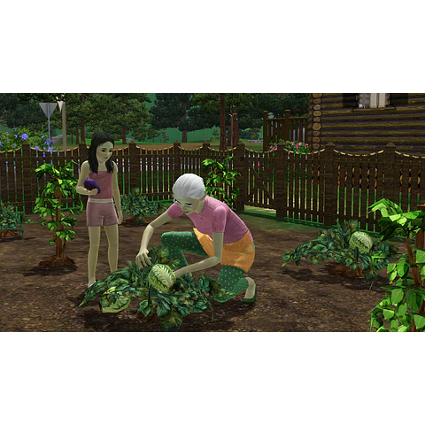 THE SIMS 3: HIDDEN SPRINGS KEY GLOBAL