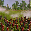 EMPIRE AND NAPOLEON: TOTAL WAR GOTY (PC) - STEAM KEY - GLOBAL