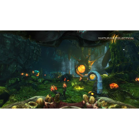 NATURAL SELECTION 2 STEAM GIFT GLOBAL