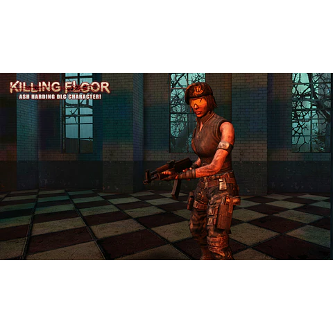 KILLING FLOOR BUNDLE (JUNE 2013) STEAM KEY GLOBAL