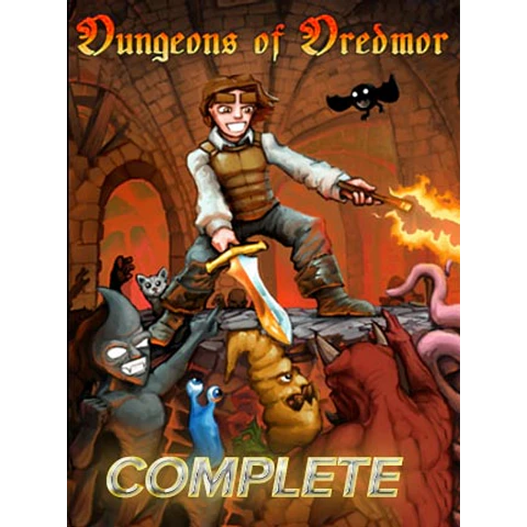 DUNGEONS OF DREDMOR COMPLETE STEAM KEY GLOBAL