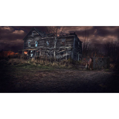 INFECTED: THE TWIN VACCINE - COLLECTOR'S EDITION STEAM KEY GLOBAL