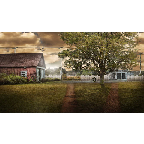 INFECTED: THE TWIN VACCINE - COLLECTOR'S EDITION STEAM KEY GLOBAL