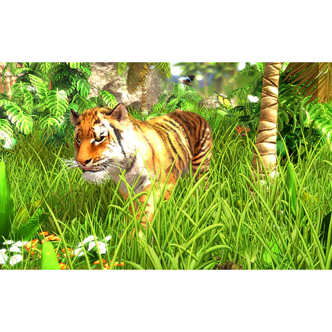 WILDLIFE PARK 3 STEAM KEY GLOBAL
