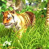 WILDLIFE PARK 3 STEAM KEY GLOBAL