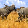 WILDLIFE PARK 3 STEAM KEY GLOBAL