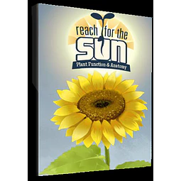 REACH FOR THE SUN STEAM KEY GLOBAL