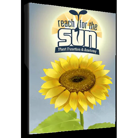 REACH FOR THE SUN STEAM KEY GLOBAL