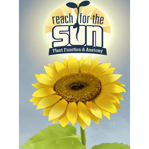 REACH FOR THE SUN STEAM KEY GLOBAL