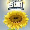REACH FOR THE SUN STEAM KEY GLOBAL