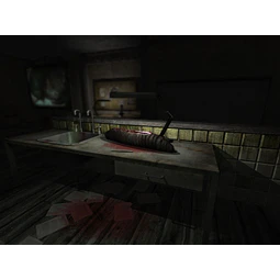 PENUMBRA OVERTURE STEAM KEY GLOBAL