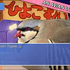 HATOFUL BOYFRIEND COLLECTOR'S EDITION STEAM KEY GLOBAL