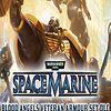 WARHAMMER 40,000: SPACE MARINE - BLOOD ANGELS VETERAN ARMOUR SET (PC) - STEAM KEY - GLOBAL