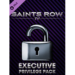 SAINTS ROW IV: THE EXECUTIVE PRIVILEGE PACK STEAM KEY GLOBAL