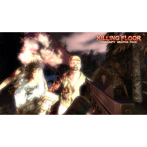 KILLING FLOOR - COMMUNITY WEAPON PACK STEAM KEY GLOBAL