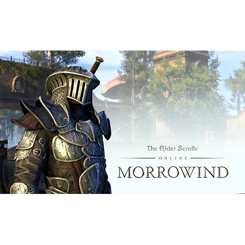 THE ELDER SCROLLS III: MORROWIND GOTY EDITION STEAM GLOBAL