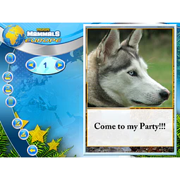 WILDLIFE CREATIVE STUDIO STEAM KEY GLOBAL