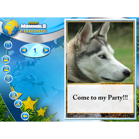 WILDLIFE CREATIVE STUDIO STEAM KEY GLOBAL