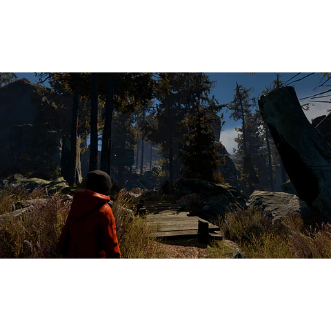 THROUGH THE WOODS: DIGITAL COLLECTOR'S EDITION STEAM KEY GLOBAL