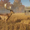 THEHUNTER: CALL OF THE WILD - TENTS & GROUND BLINDS STEAM KEY GLOBAL